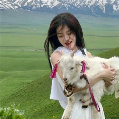 有组织的工作